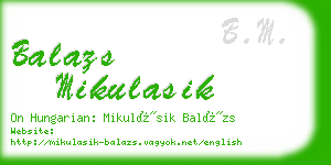 balazs mikulasik business card